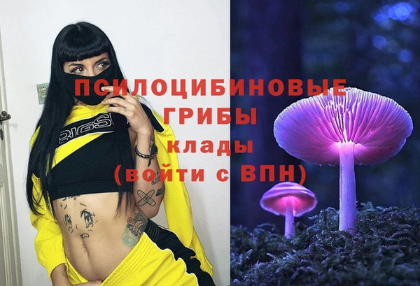 a pvp Кулебаки
