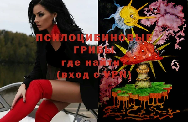 СК Липки