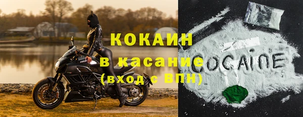 ПСИЛОЦИБИНОВЫЕ ГРИБЫ Бердск