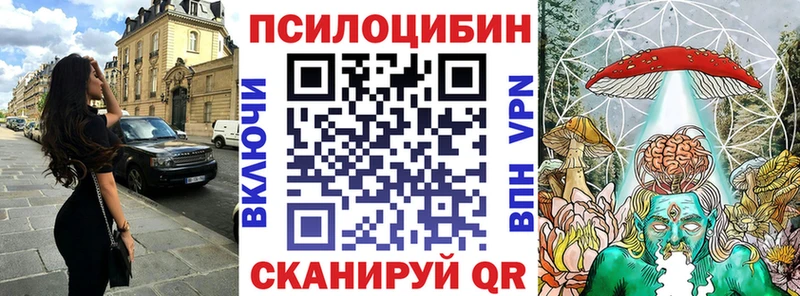 Псилоцибиновые грибы Cubensis  Ачхой-Мартан 